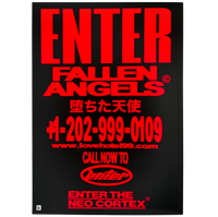 FALLEN ANGELS
